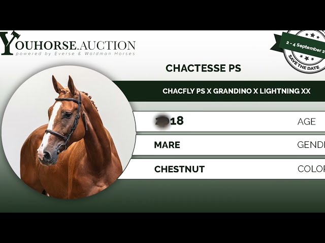 Chactesse PS