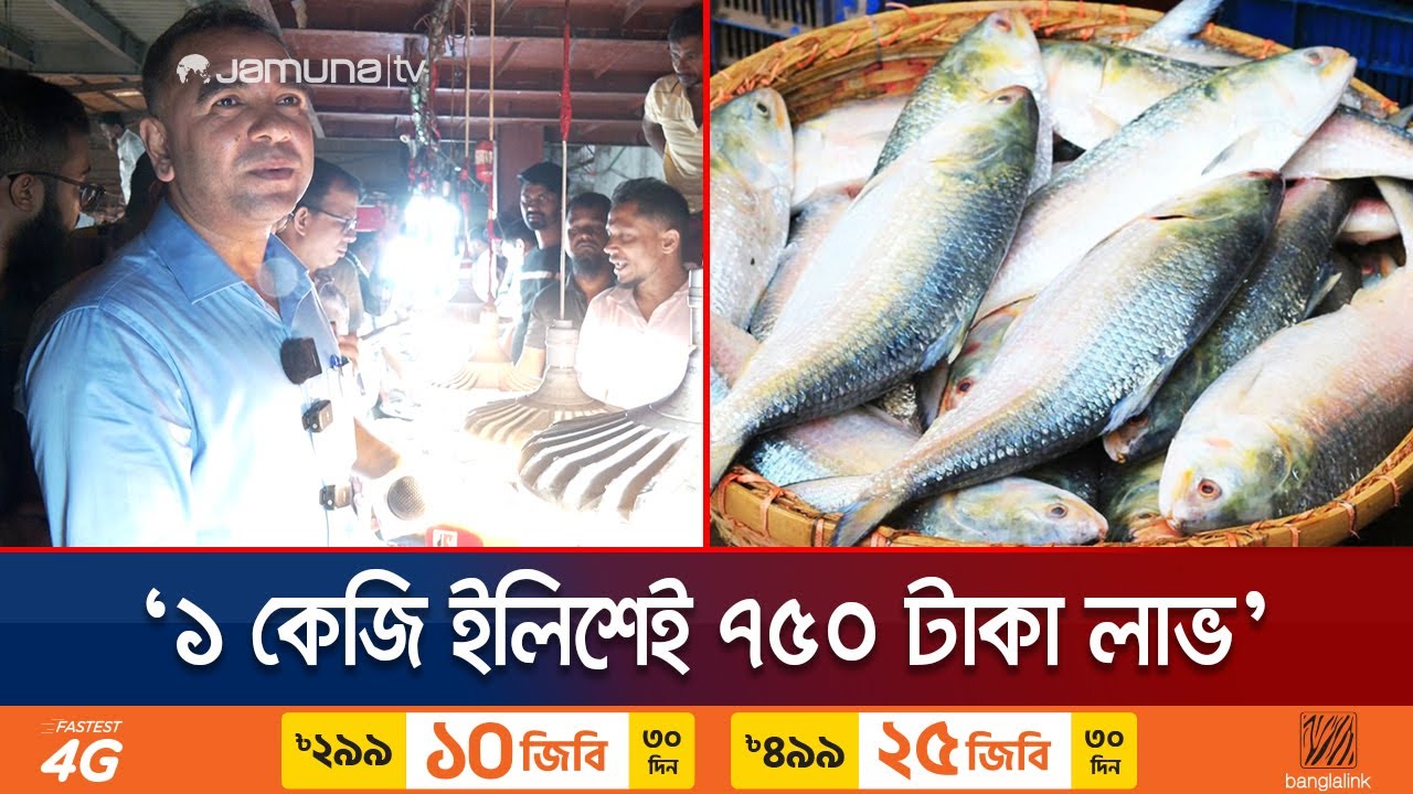 'খুচরা বাজারে ইলিশ দ্বিগুণ দামে বিক্রি হচ্ছে আপনার কারণেই তো'। Hilsha Bazar Monitoring | Jamuna TV