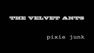 Turning Glass To Sand [B-Side] - The Velvet Ants