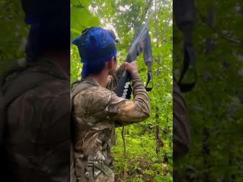 Shooting a squirrel with 12 gauge!