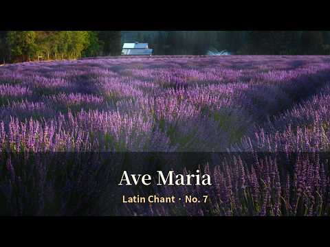 Ave Maria (Latin Chant No. 7) | Catholic Prayer Music for Pr…