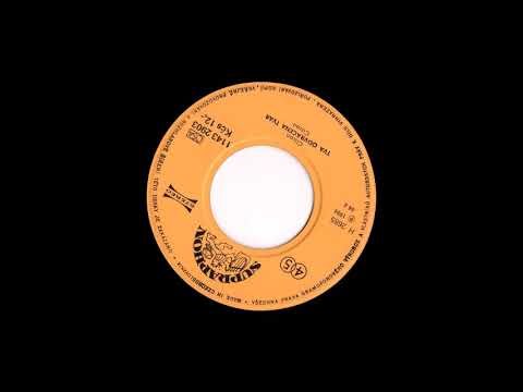 jiří schelinger / citron / dp :: zvrácená formule