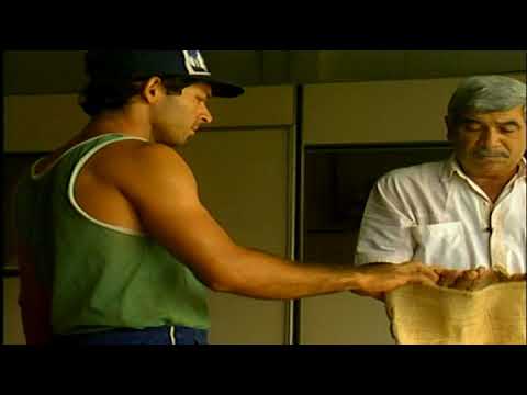 FROM COCOA TO BELCOLADE CHOCOLATE (RO)