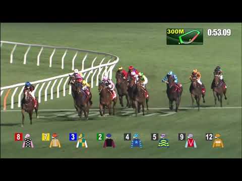 10/2/2021 (420) Equaletta Blitz - J Moreira