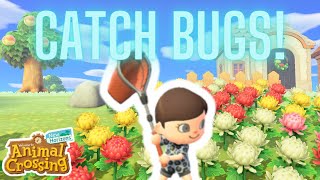 Beginners Guide to Catching Bugs in Animal Crossing New Horizons