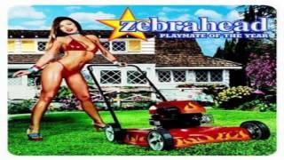 Zebrahead - Livin&#39; Libido Loco