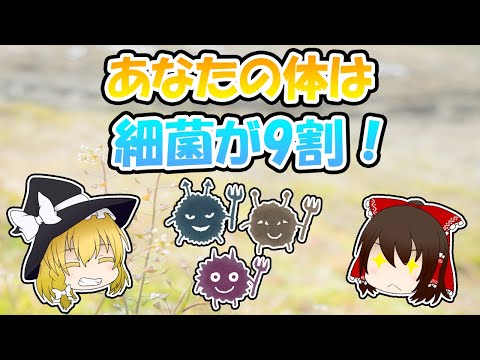 Symplocaceaeについて詳しく解説