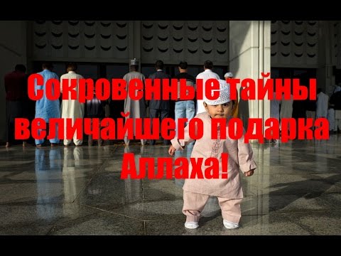 Сокровенные тайны величайшего подарка Аллаха!
