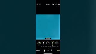 MONA LISA?!?! || weezer || #weezer #trending