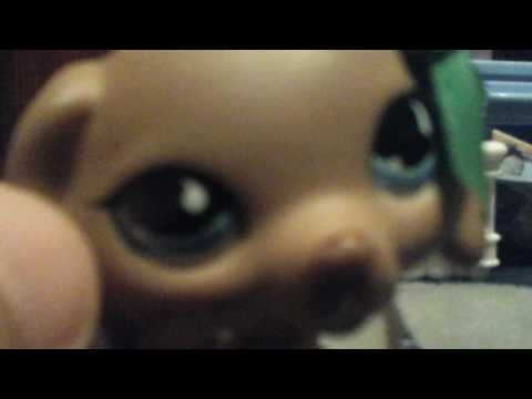Lps Pop High Ep 1 New School New Life