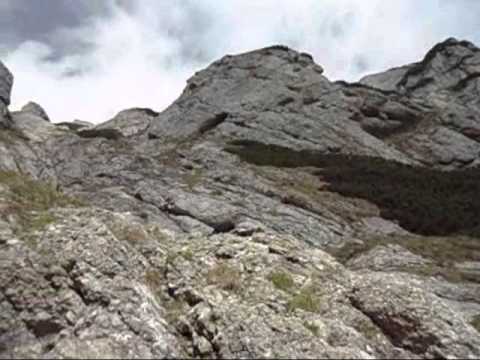 Valea Galbenelelor septembrie 2015