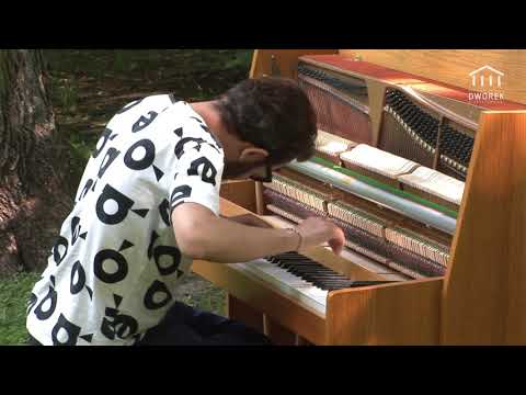 Paweł Kaczmarczyk - Dzielnica VII  ZWIERZYNIEC - Park Decjusza (cz 2)