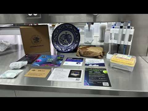 Meet the team behind the iGEM BUAP 2025 project! - Wiki Team homepage video