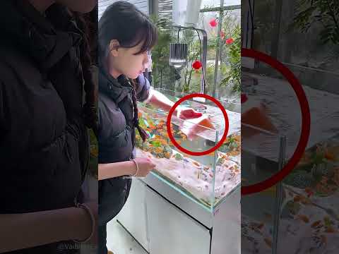 Салфетки Очистили Аквариум За Несколько Минут 😱