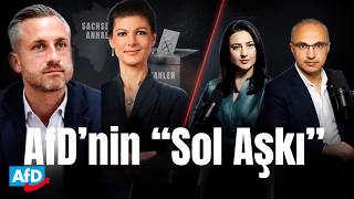 #AfD kiminle hükümet kuracak?