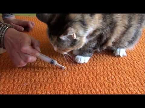 Medicating Tricks and Tips