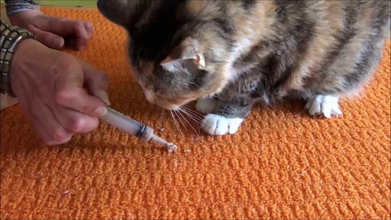 Medicating Tricks and Tips