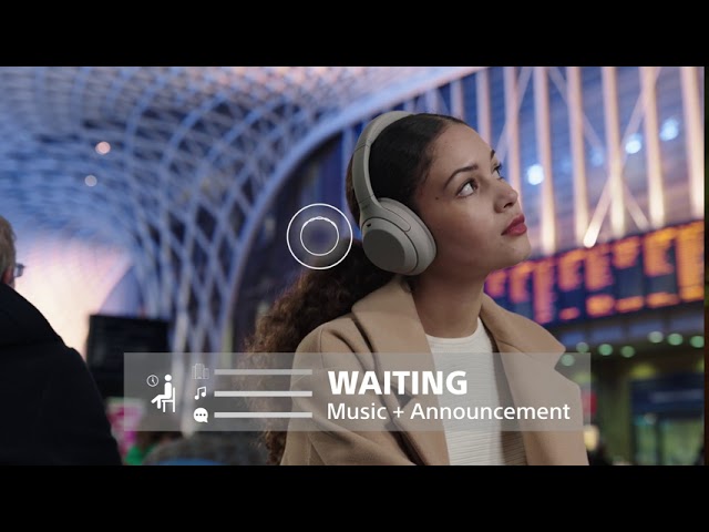 YouTube Video -