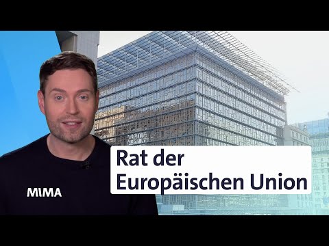 Was sind Europarat und "Rat der Europäischen Union"? | Europawahl 2024