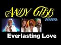 The Bee Gees and Andy Gibb - An Everlasting Love