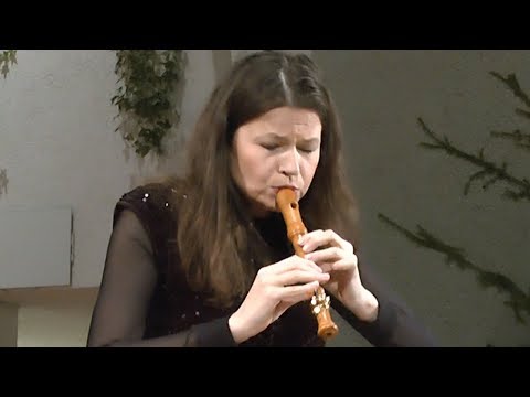 Sonatori de la Gioiosa Marca & Dorothee Oberlinger | Antonio Vivaldi Concerto D-Dur RV 270