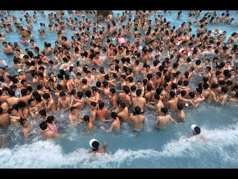 Бассейн из людей! Курьезные новости Ксении Анташовой