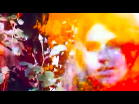 13th Floor Elevators - Nobody To Love