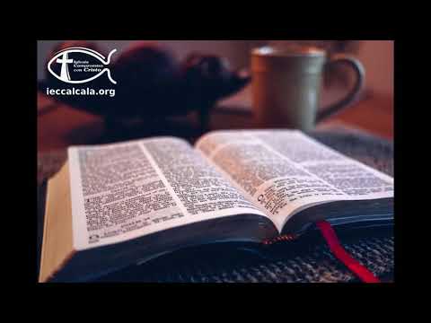 Habacuc 2:4. Mas el justo, por la fe vivirá.