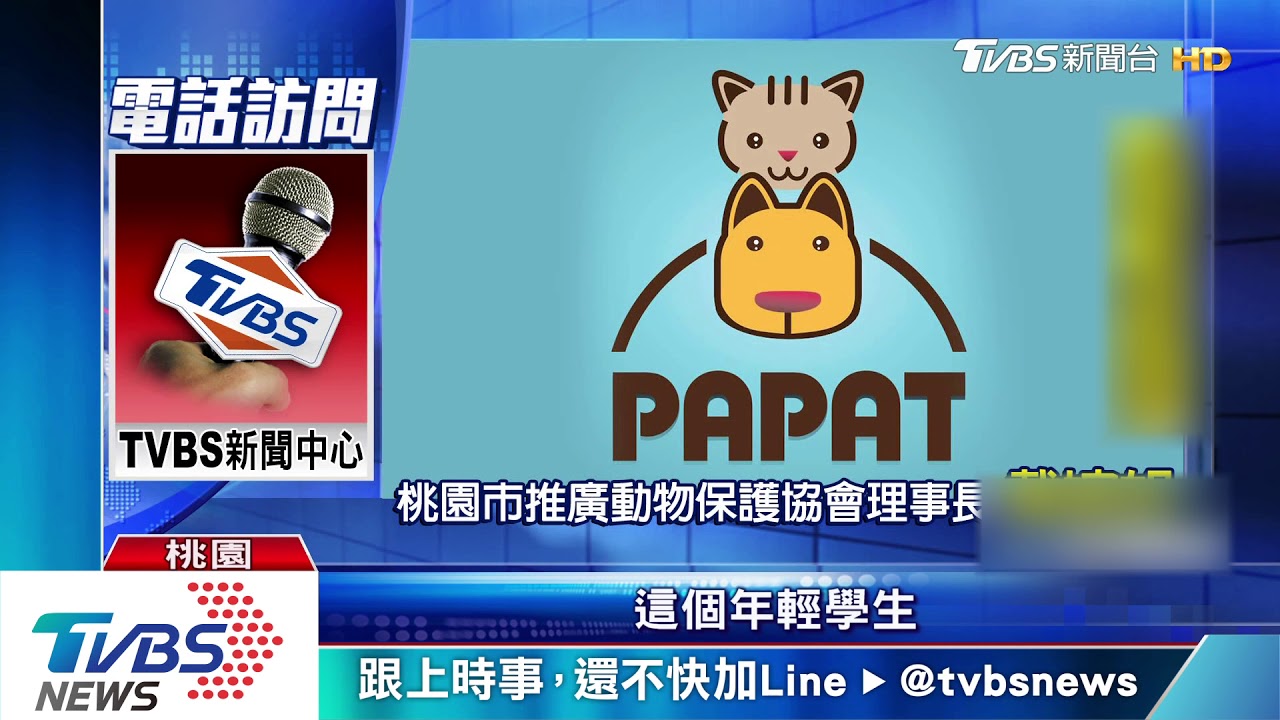 抓貓亂甩還戲謔拍片　高職生觸犯動保法