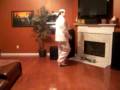 Improv dance from Napoleon Dynomite