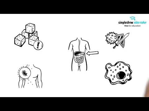 Azubi-Tutorials zur Medizinlehre - Diabetes