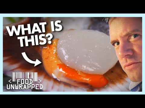 The Strange Truth of a Scallop's Orange Bits 👀 | Food Unwrapped