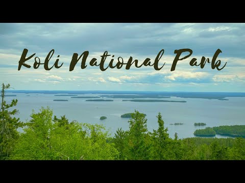 Mäkrän Kierto Trail, Koli National Park
