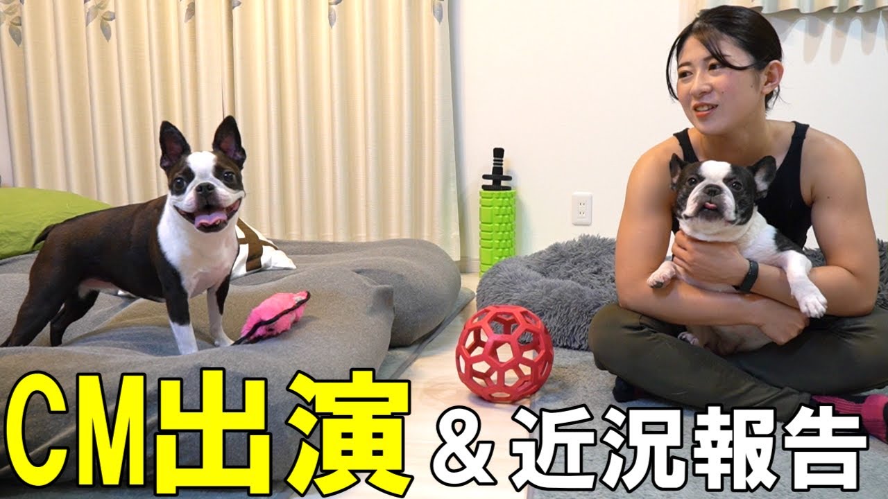 タレントの金子みゆさんとTikTokのCMに出演しました！