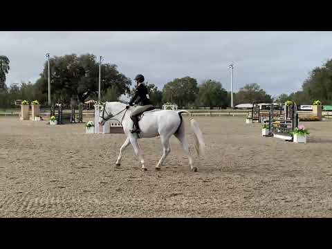Jordan Robertson and Olaf WIHS hunter phase