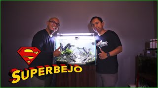 Setting Aquascape untuk JHODY  SUPERBEJO | Artis tahun 90an | Bersama Mantri Scaper