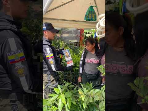 Se realiza difusión de persona desaparecida