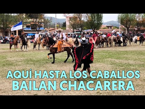 A PURO GALOPE | Así se vive la verdadera tradición chaqueña en Entre Ríos, Tarija 🇧🇴🔥