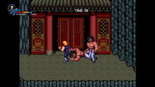 Double Dragon Trilogy (DD2 The Revenge) PC FULL GAME Longplay Gameplay Walkthrough Playthrough VGL