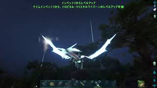 コギャルArk