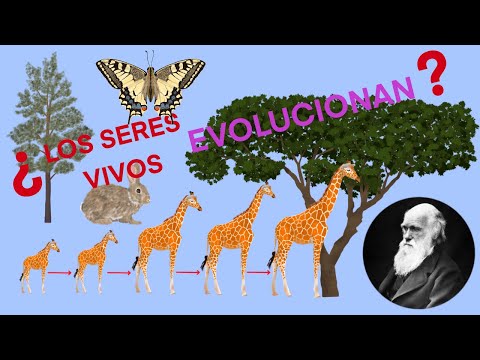 ¿Los seres vivos EVOLUCIONAN?