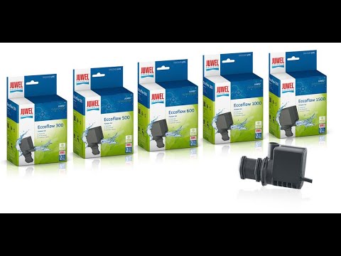 Watch Video on YouTube