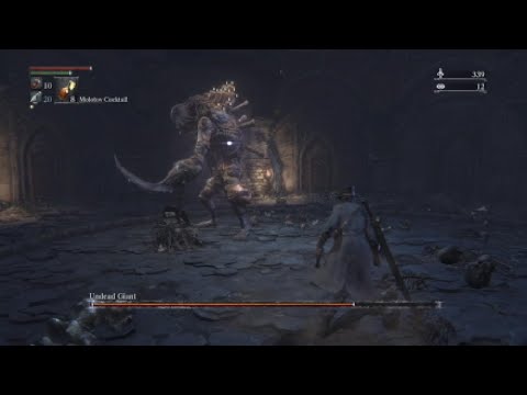 Bloodborne  - Undead Giant Cheese