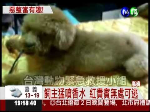 拿香水噴狗! 人肉搜索揪虐狗人