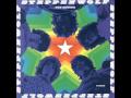 Reflections by Steppenwolf