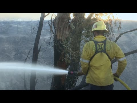 Progress reported in fighting California fires Video