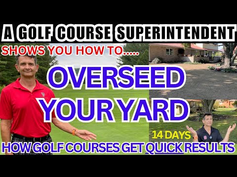 "Lawn Seeding & Renovation Guide: Best Grass Seed, Fertilizer Timing & Weed Control Tips!"