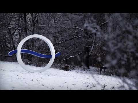 Duna téli identek 2013 január