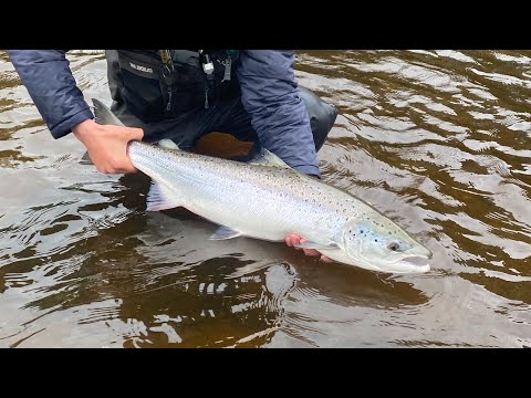 The Perfect Single-Hand Outfit for Salmon, Steelhead & Sea-Trout