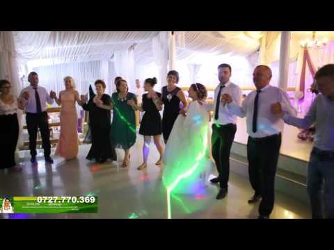 SILVIA ENE   Hora așezată